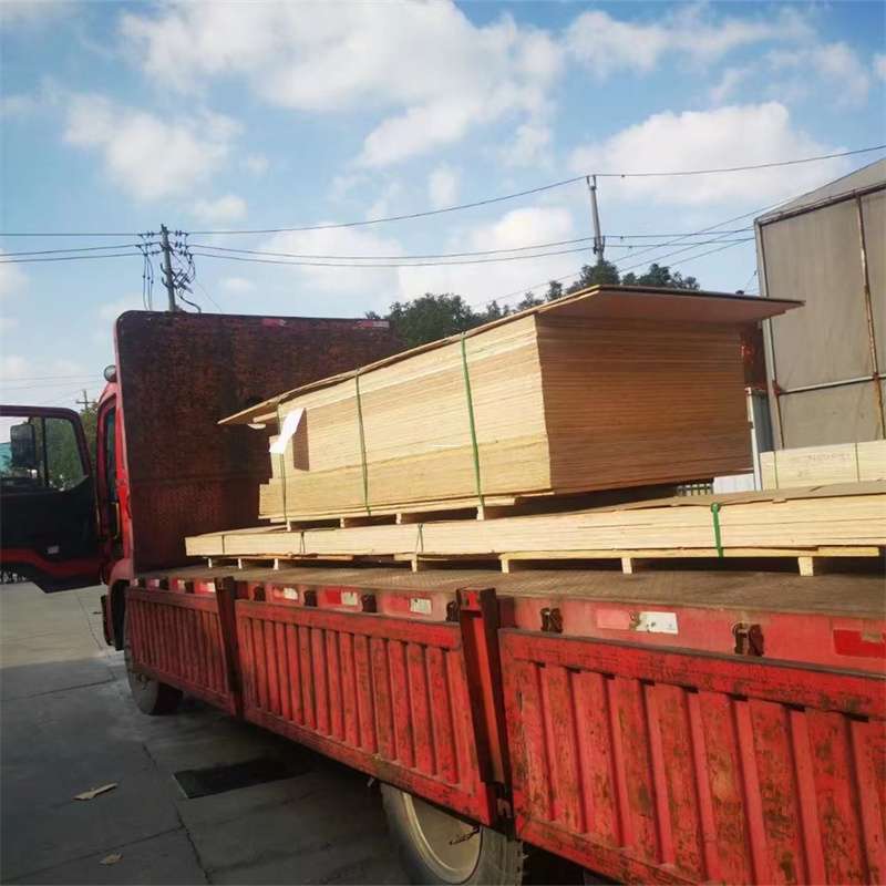 福建宁德福鼎至塔城货运专线，一站式物流服务助您成功
