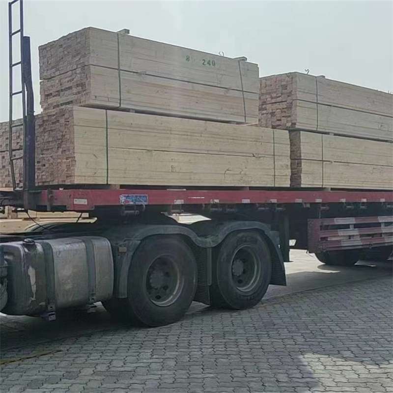 福建宁德福鼎至鸡西货运专线一站式物流服务，高效便捷通全国